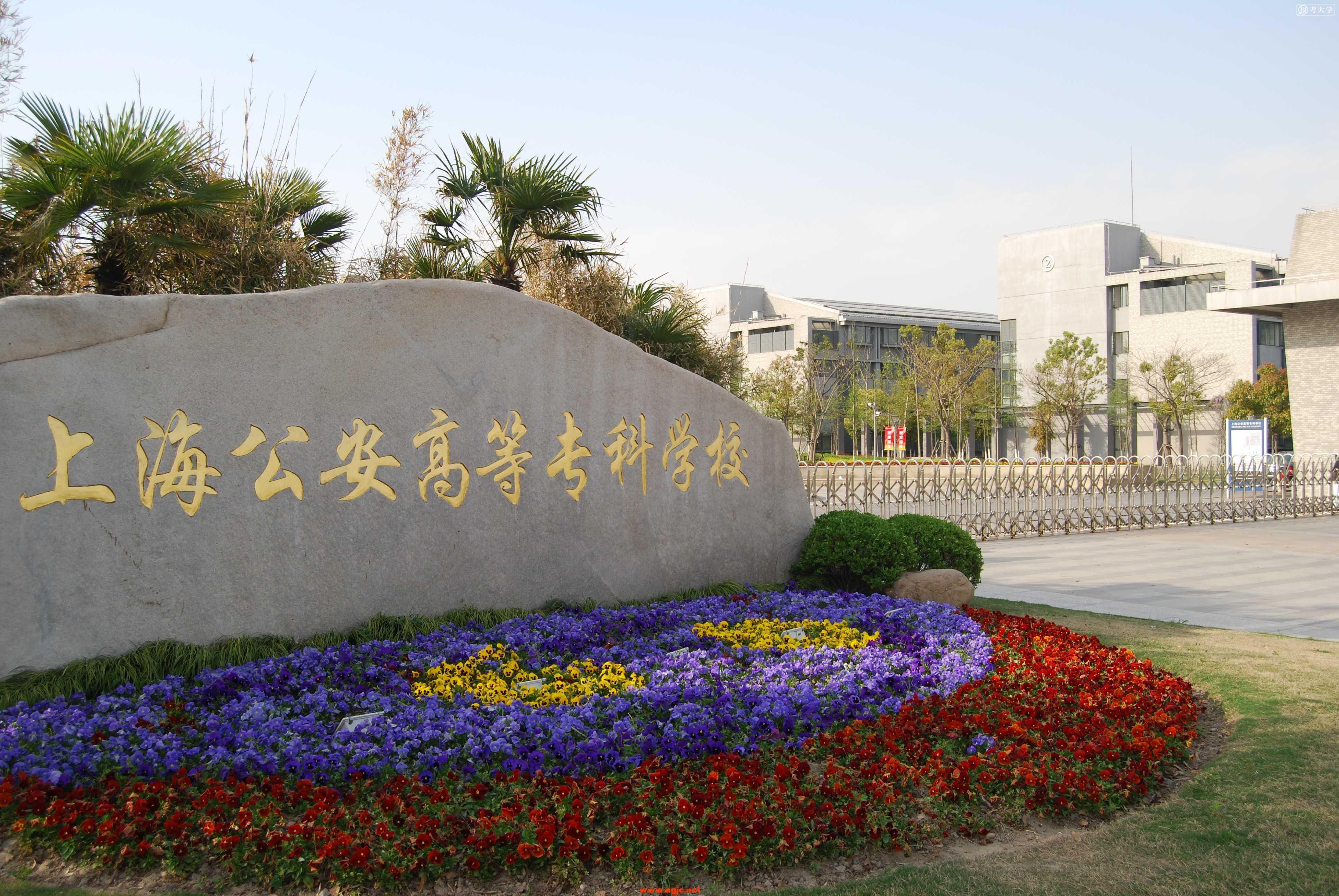 上海公安学院校园风光图片